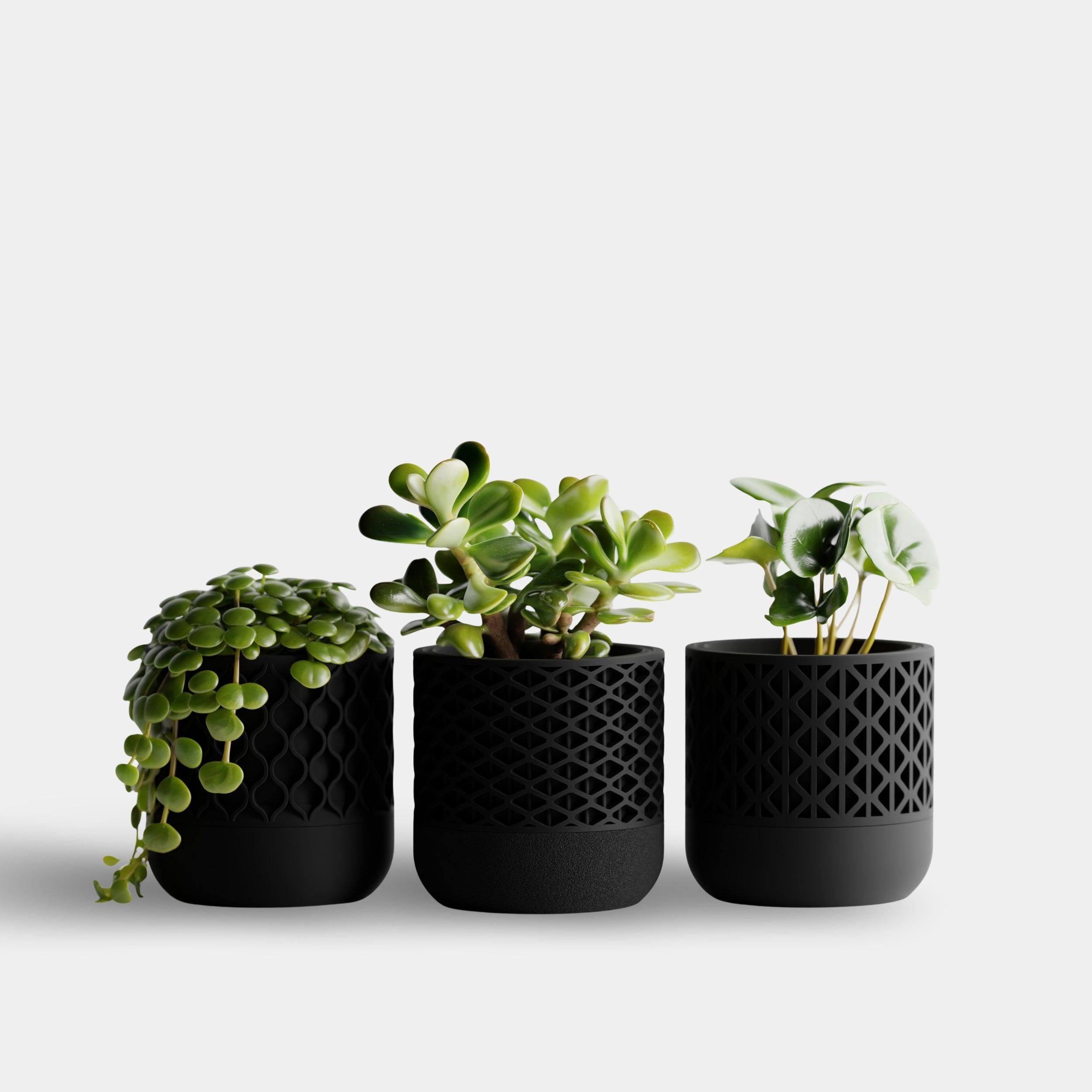 SYNORA cvetlični lonec, črna