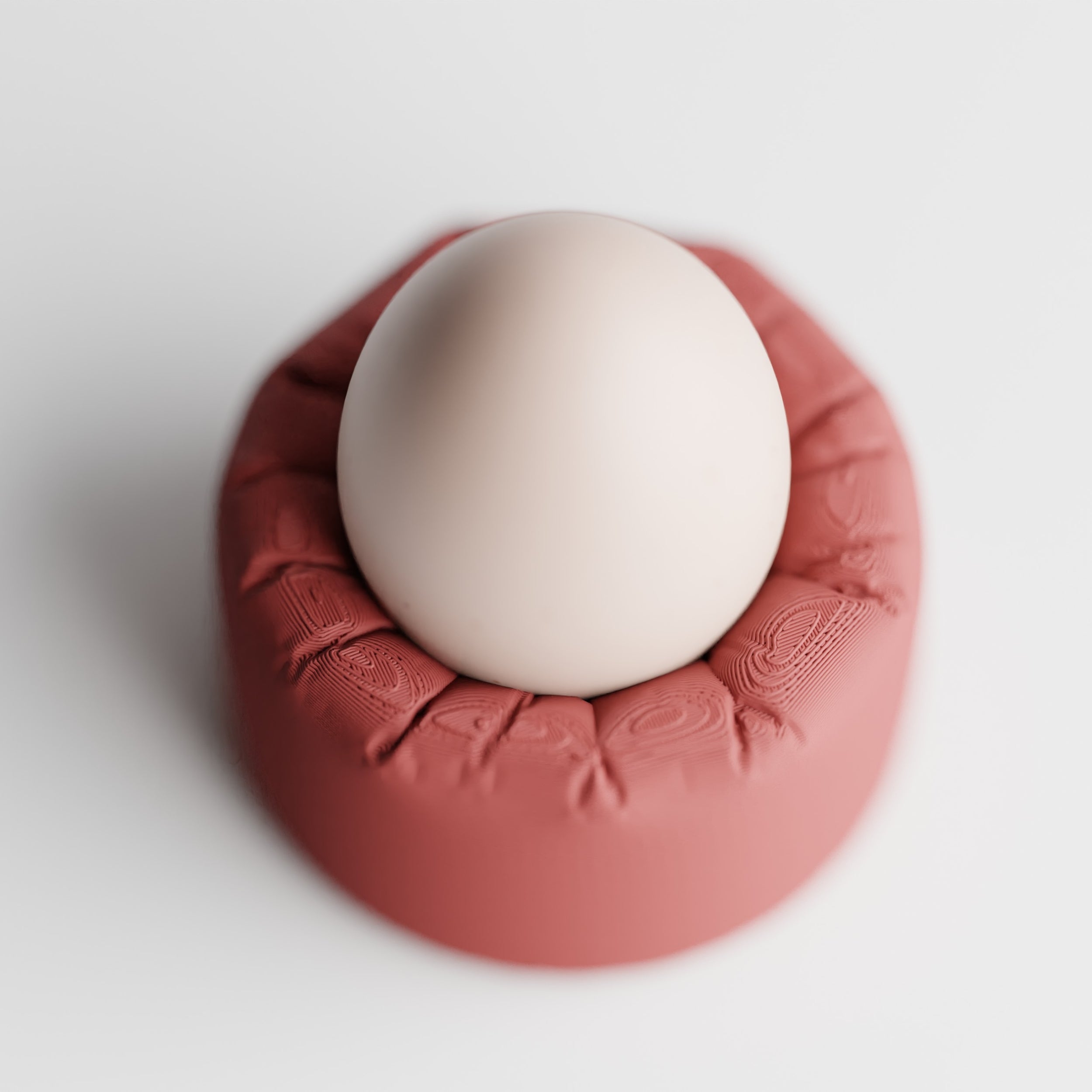 INFLATED Egg Holder