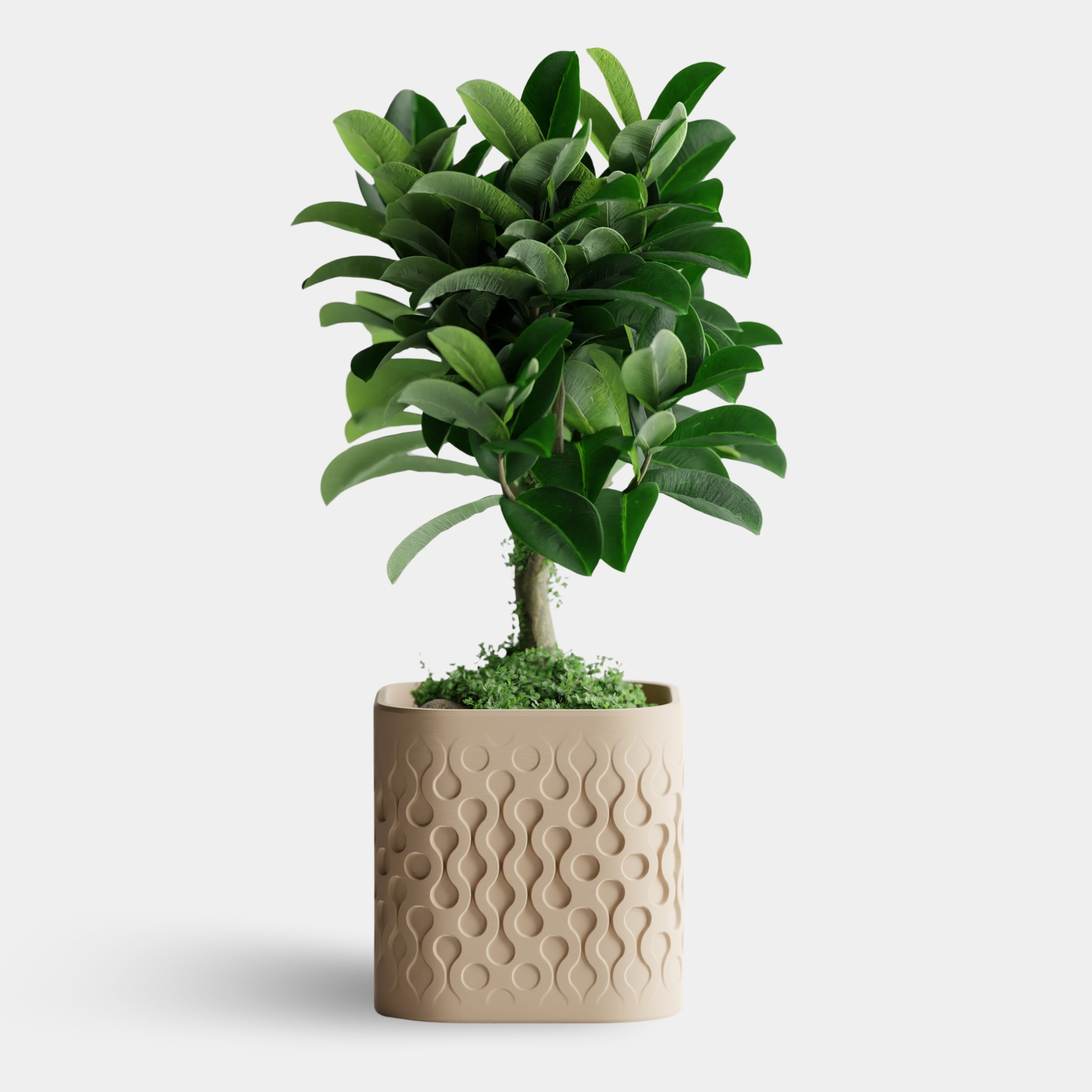 FLOWFORM cvetlični lonec, bež