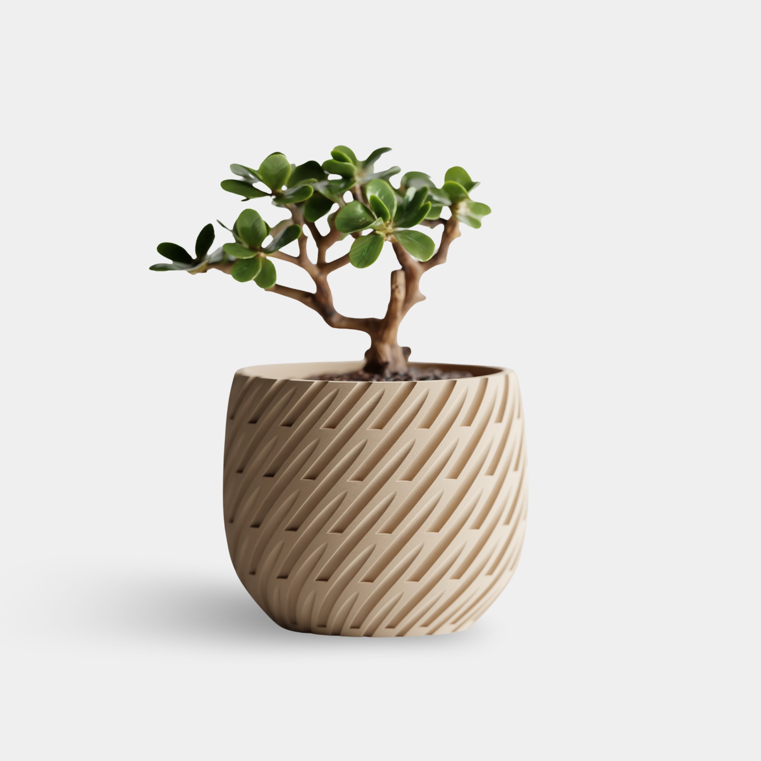 LOIREN cvetlični lonec, bež