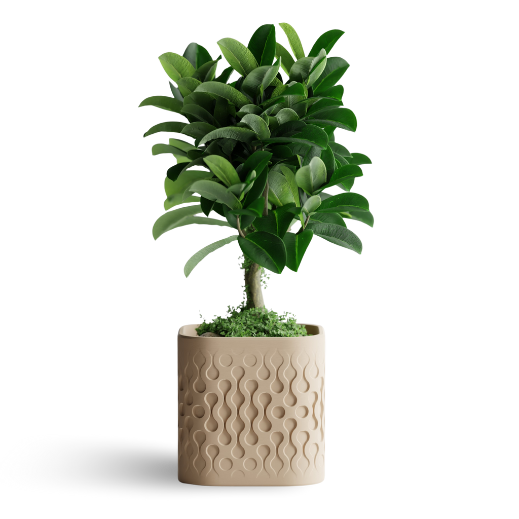 FLOWFORM cvetlični lonec, bež