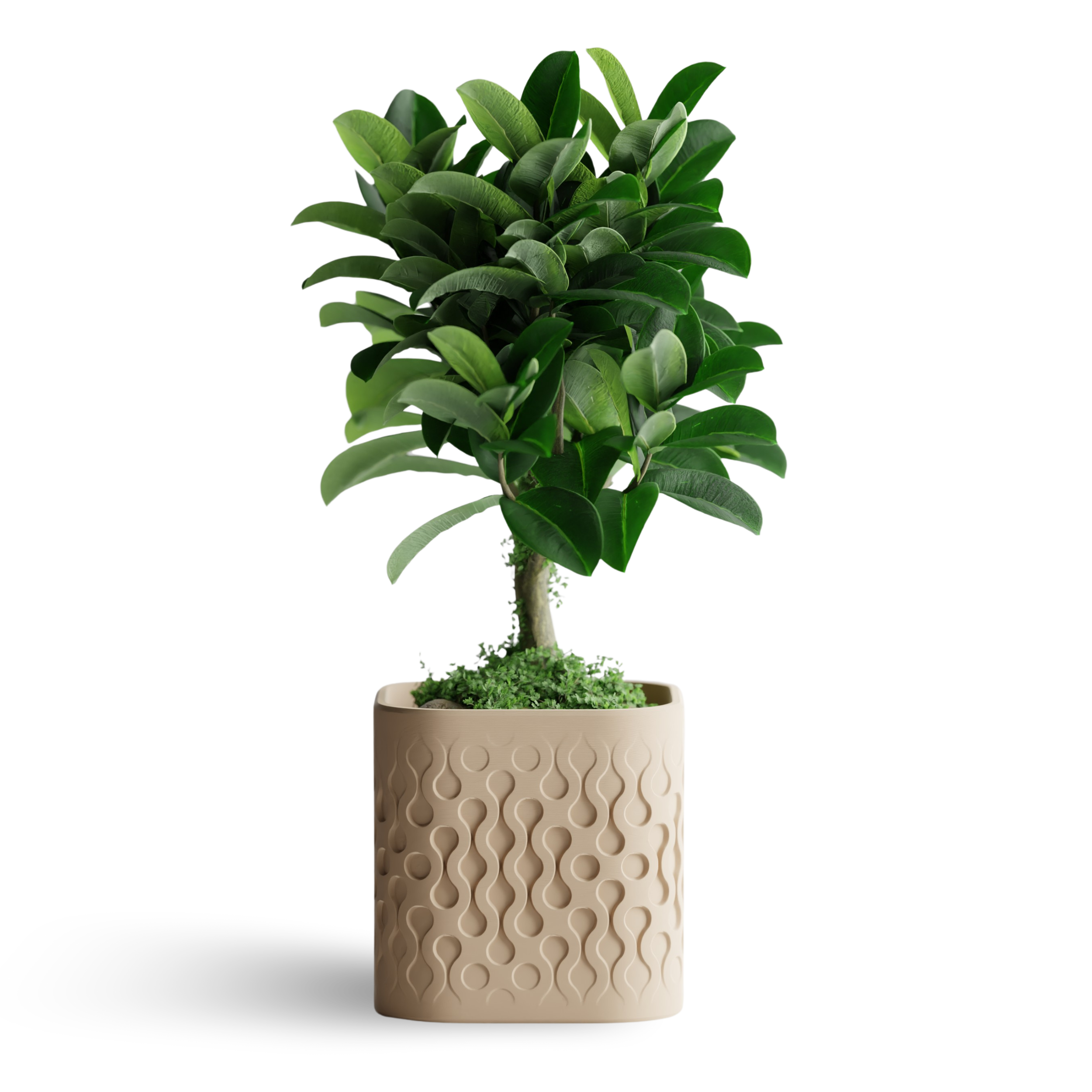 FLOWFORM cvetlični lonec, bež