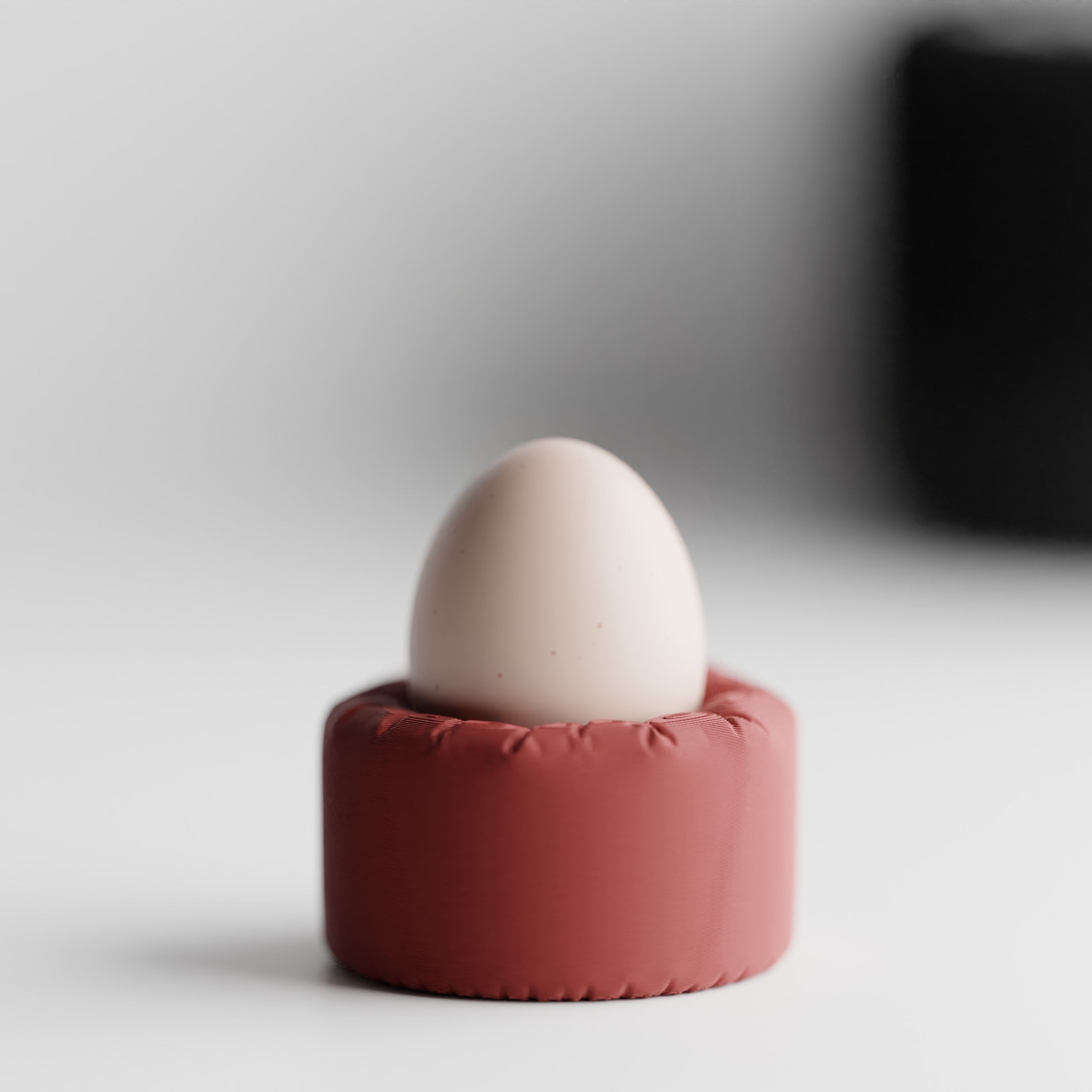 INFLATED Egg Holder