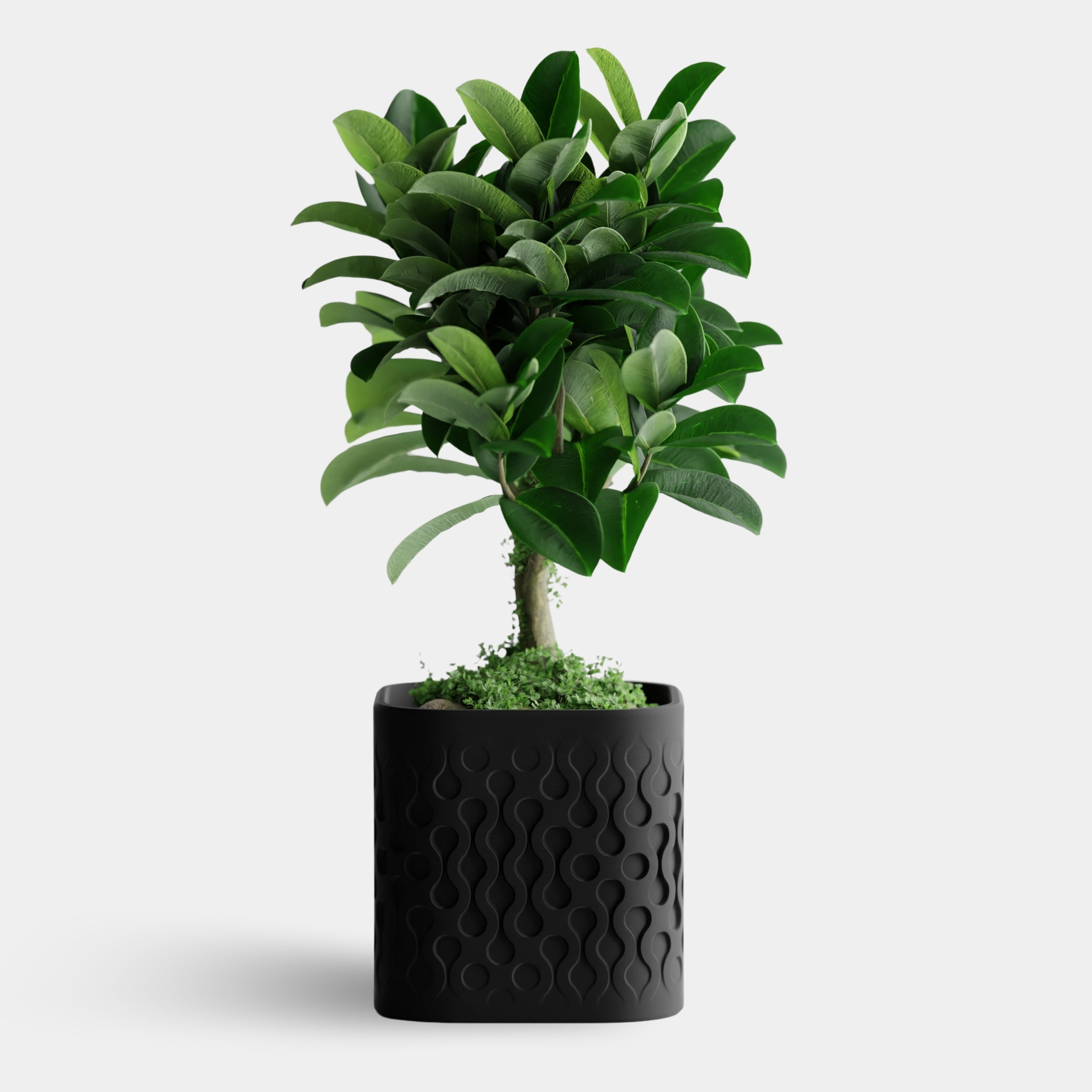 FLOWFORM cvetlični lonec, črna