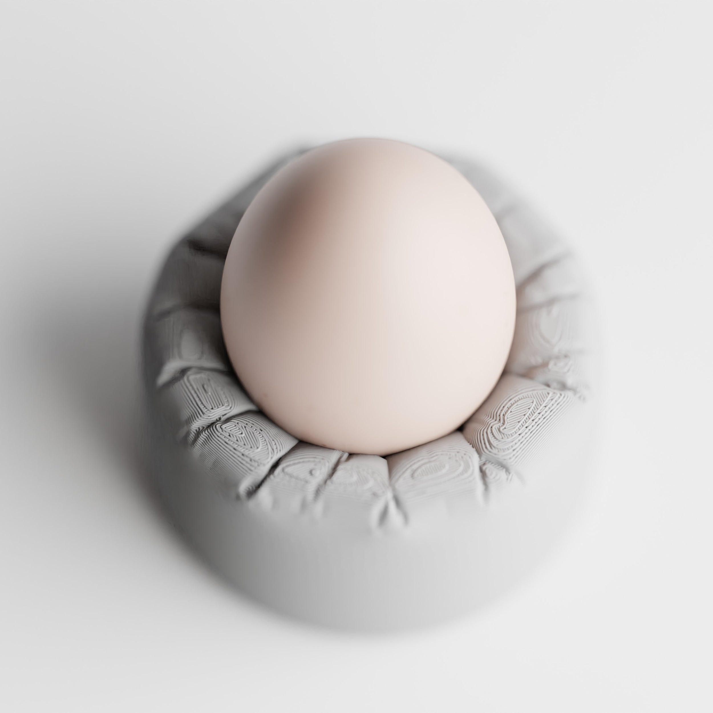 INFLATED Egg Holder
