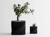 VIBE Planter - black