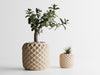 COSSANA Planter - beige