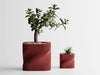 VIBE Planter - red