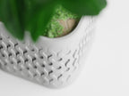 Flowform