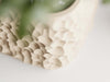 KORY Planter - beige