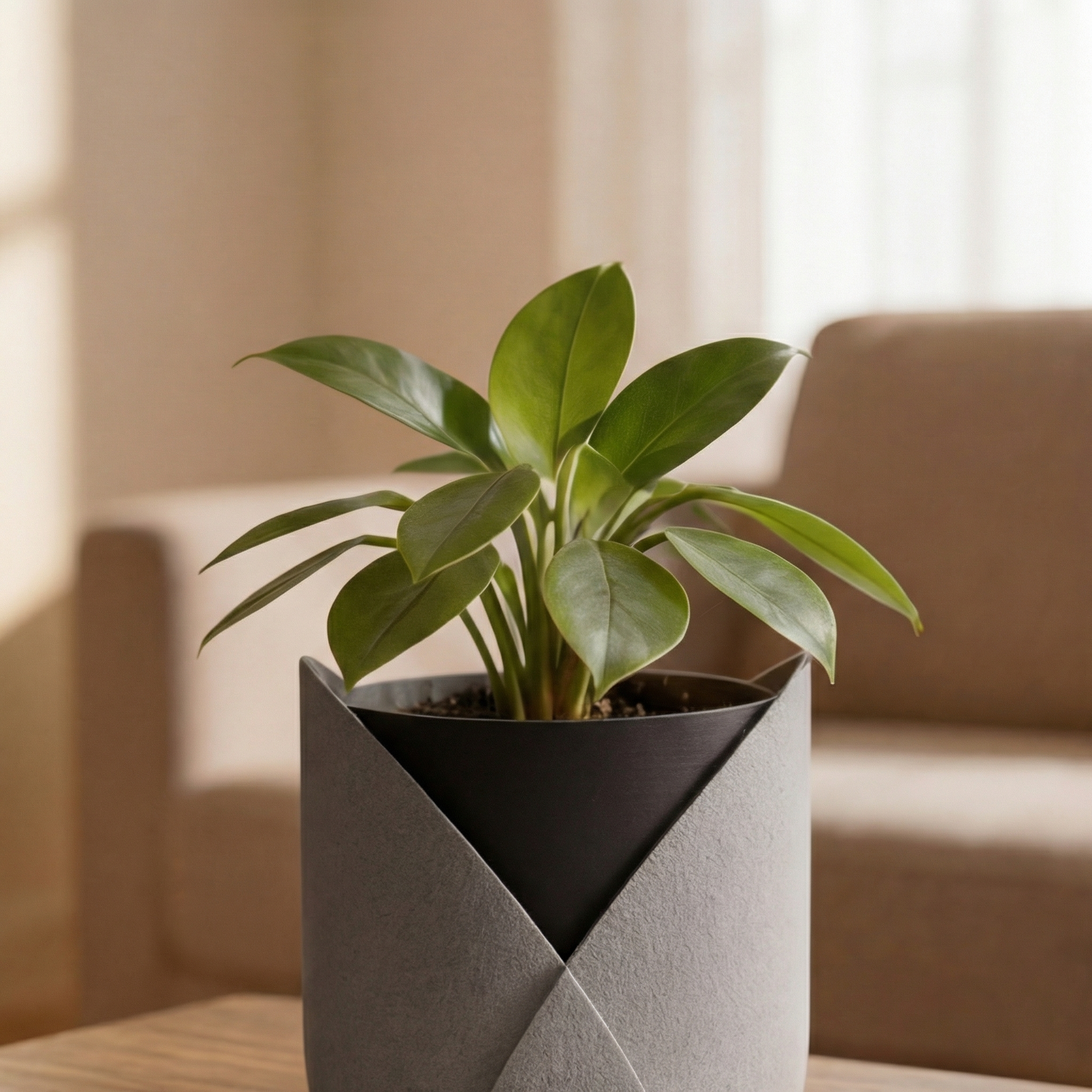 ELYNDRA cvetlični lonec, siva