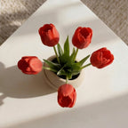 Diara