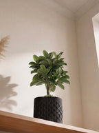 Flowform